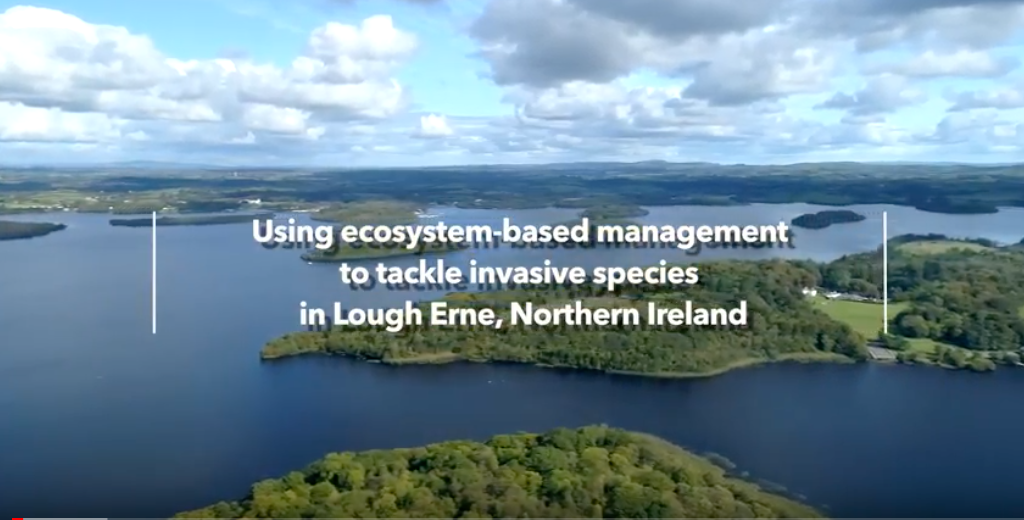 Video screenshot: Using ecosystem-based management to tackle invasive species in Lough Erne, Northern Ireland